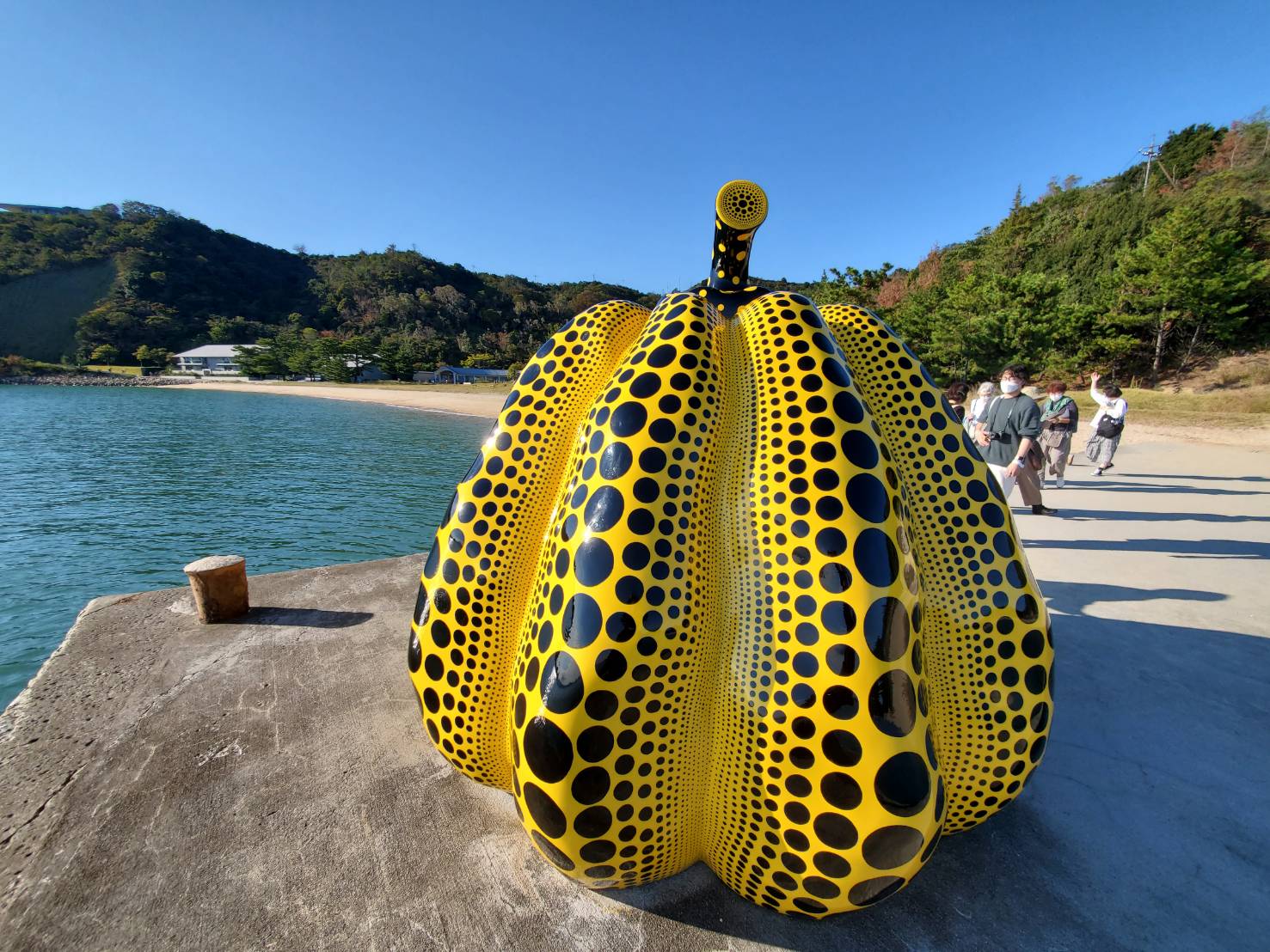 直島　地中美術館直島新美術館　2大美術館めぐり