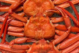 限定スペシャル！ 紅ずわい蟹・牡蠣 70分 食べ放題！