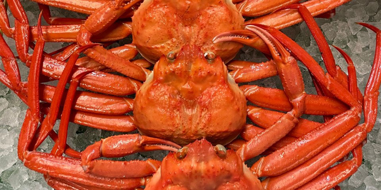 限定スペシャル! 紅ずわい蟹・牡蠣 70分 食べ放題!