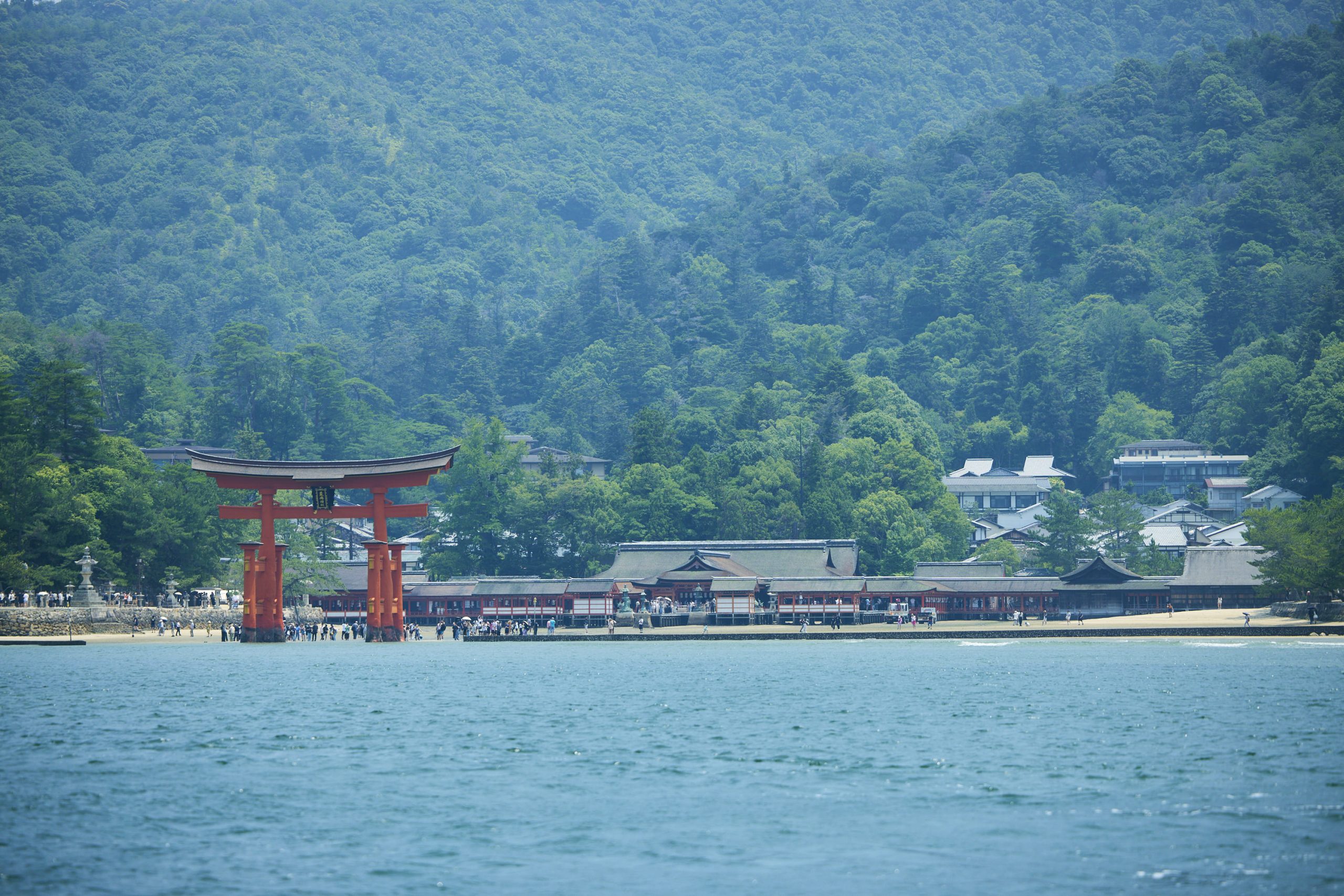 海から望む絶景　宮島クルーズと春を楽しむ贅沢会席　