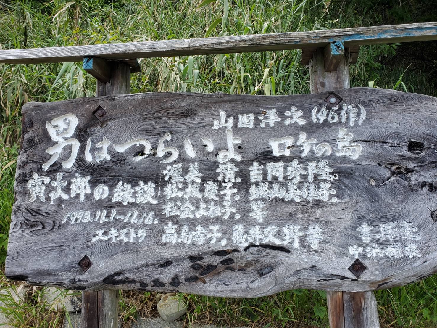 備讃瀬戸に浮かぶ小さな島　樹齢１２００年の「大楠」に出会う　志々島を歩こう！