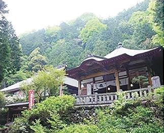 新幹線で行く奥関東 ”埼玉”　秩父三十四個所 観音霊場巡礼3日間［全2回］