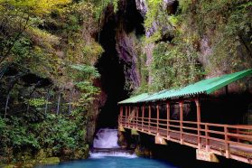大人の遠足！日本最大規模のカルスト台地『秋吉台』散策と 3億5千万年前にタイムスリップ日本屈指の大鍾乳洞『秋芳洞』ウォーク