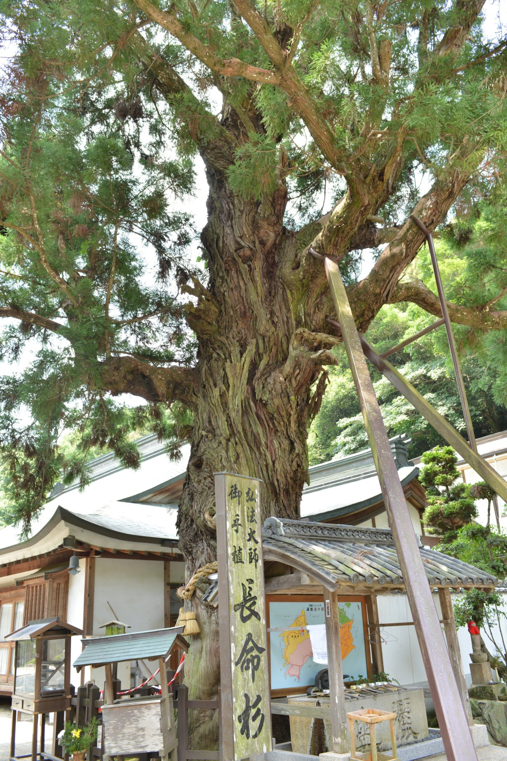 2027年新春 祈りの道を歩く 四国八十八ヶ所霊場 歩き遍路体験